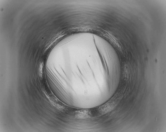 X0000087400118200705111835