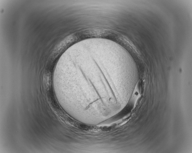 X0000087400119200705111835