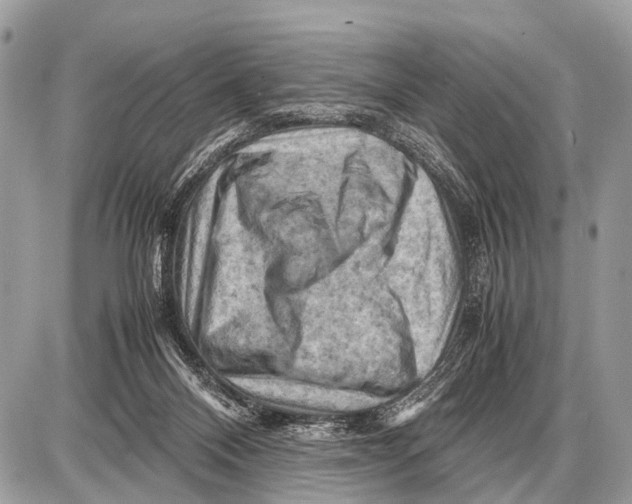 X0000087400120200705111835