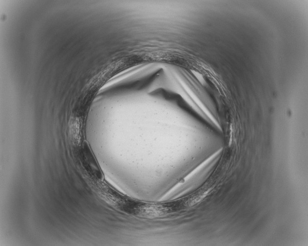 X0000087400121200705111835