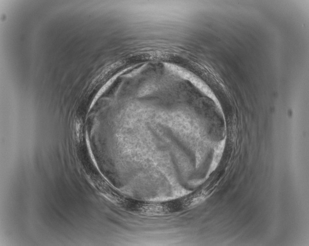 X0000087400123200705111835