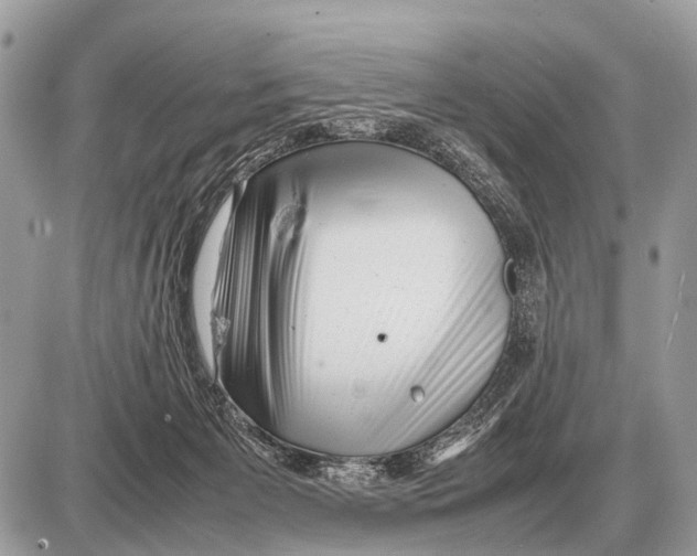 X0000087400125200705111835