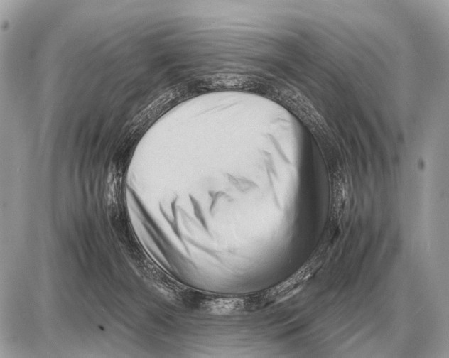 X0000087400126200705111835