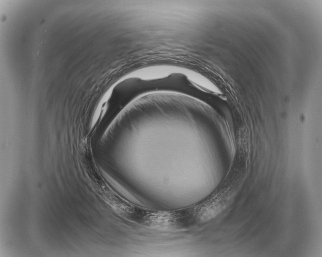 X0000087400127200705111835