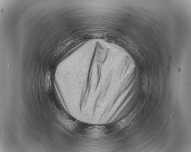 X0000087400128200705111835