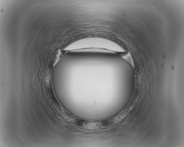 X0000087400129200705111835