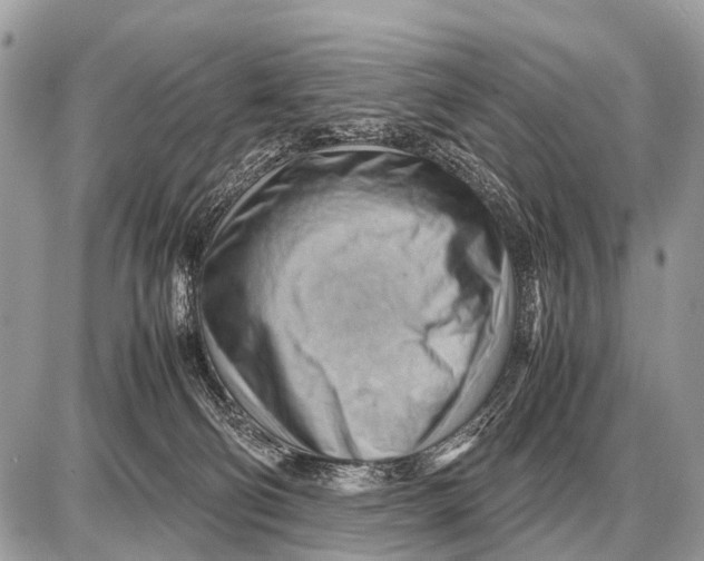 X0000087400130200705111835