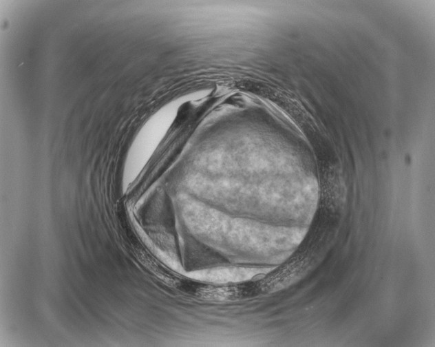 X0000087400131200705111835