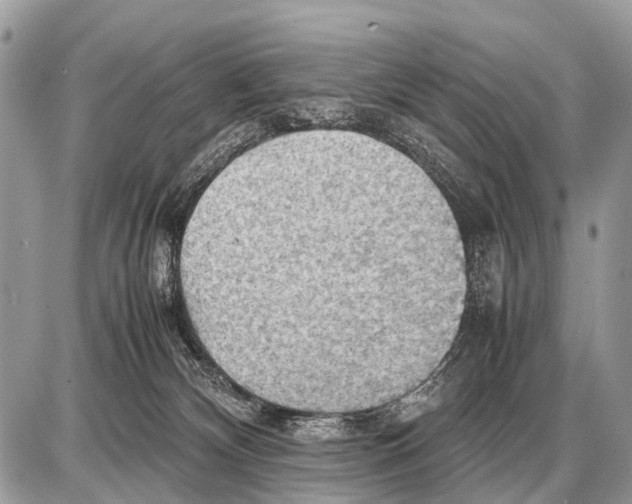 X0000087400132200705111835