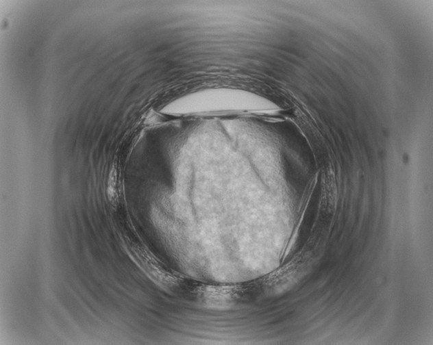 X0000087400134200705111835