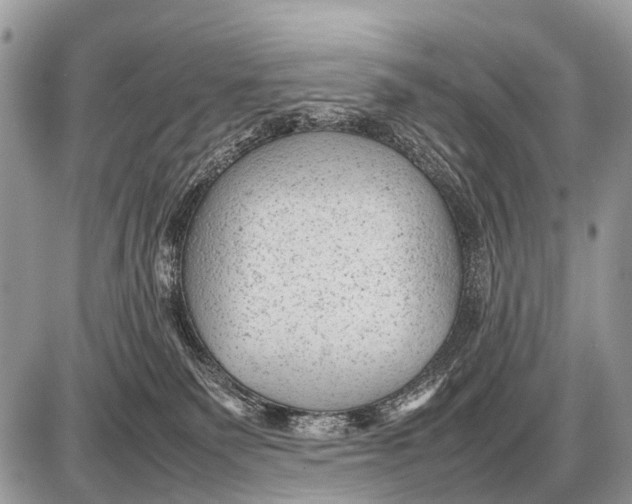 X0000087400135200705111835