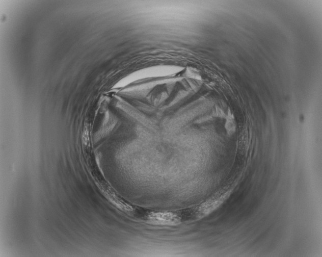 X0000087400137200705111835