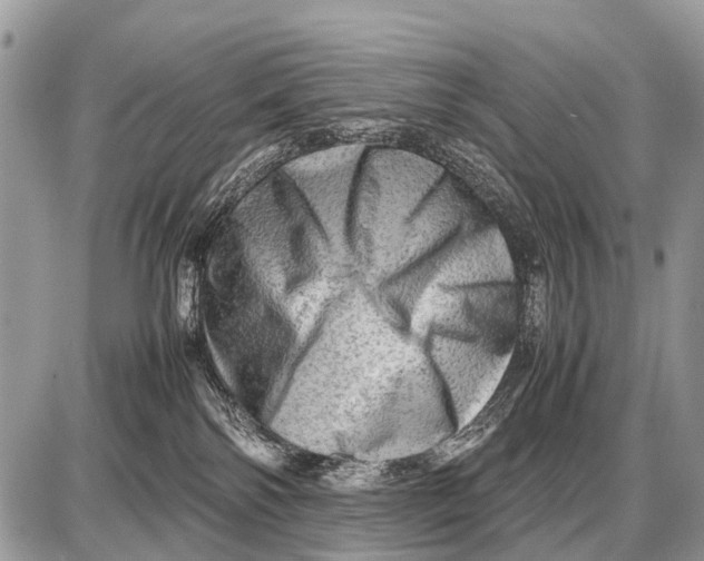 X0000087400138200705111835