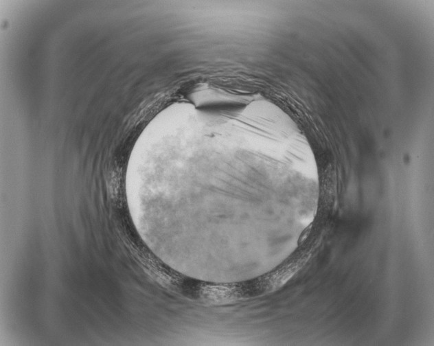 X0000087400139200705111835