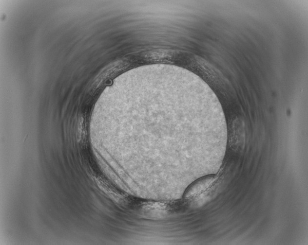 X0000087400140200705111835