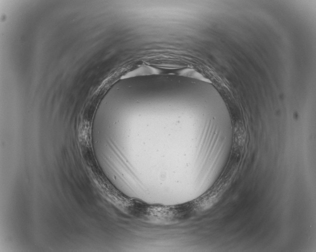 X0000087400141200705111835