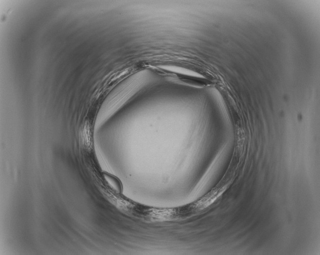 X0000087400143200705111835