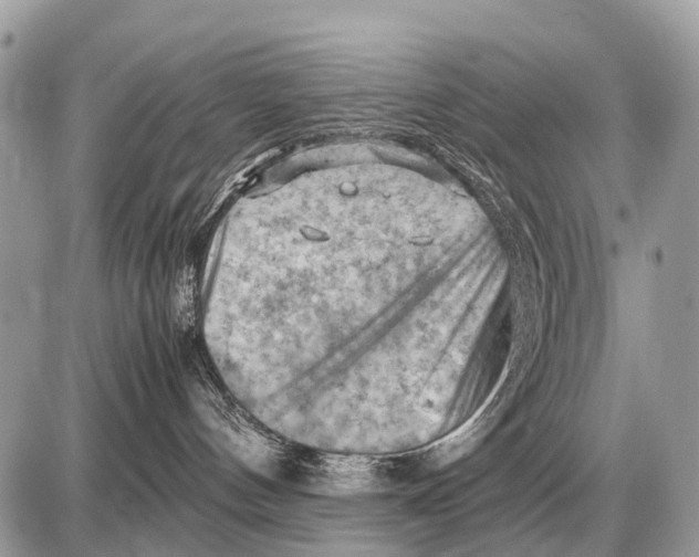 X0000087400144200705111835