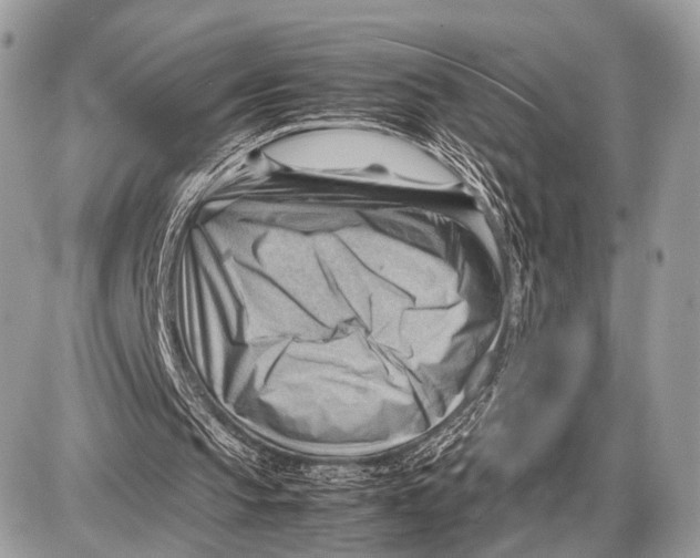 X0000087400145200705111834