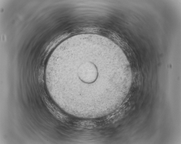 X0000087400146200705111834