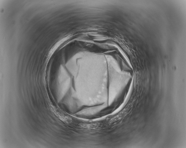 X0000087400147200705111834