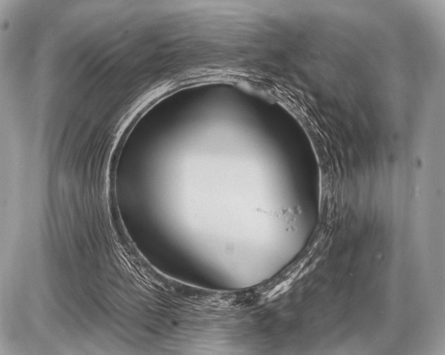 X0000087400148200705111834