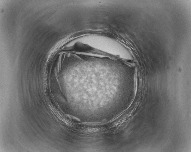 X0000087400149200705111834