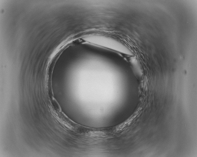 X0000087400150200705111834