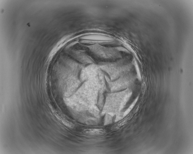 X0000087400151200705111834