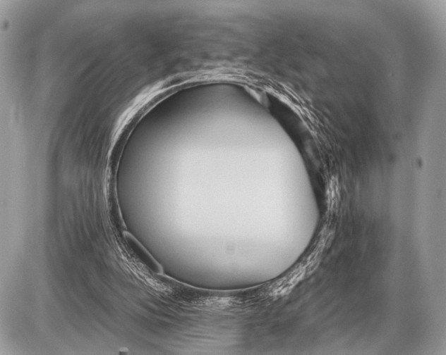 X0000087400152200705111834