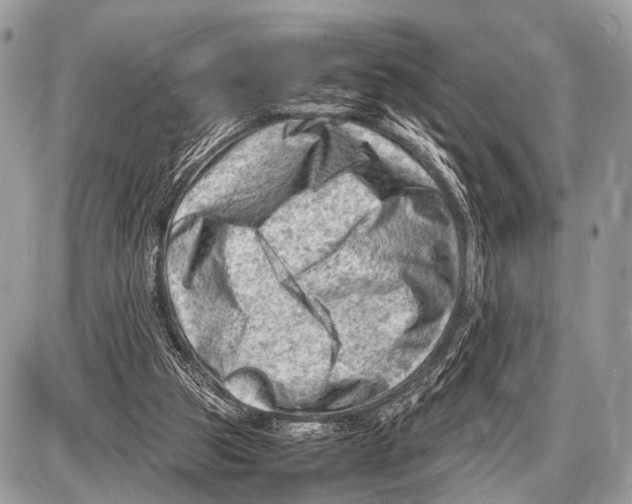 X0000087400153200705111834