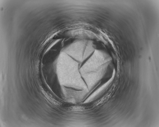 X0000087400154200705111834