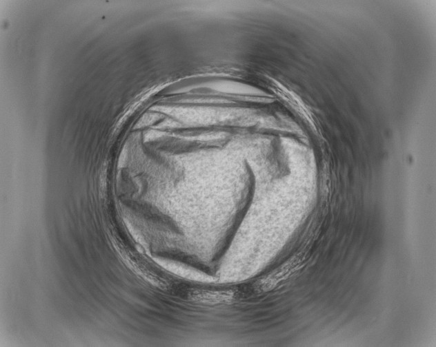 X0000087400155200705111834