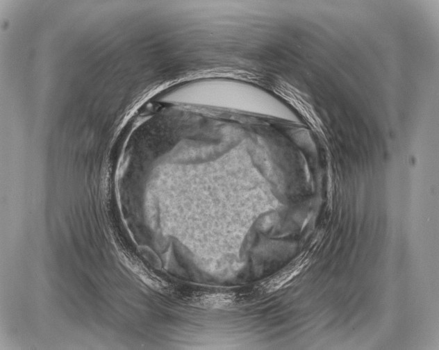 X0000087400156200705111834