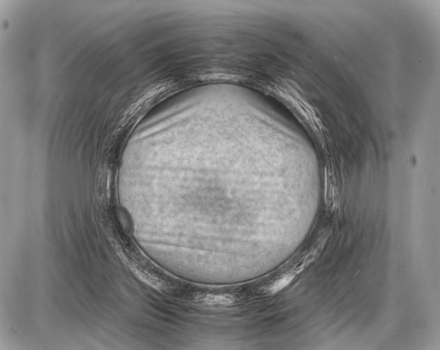 X0000087400157200705111834