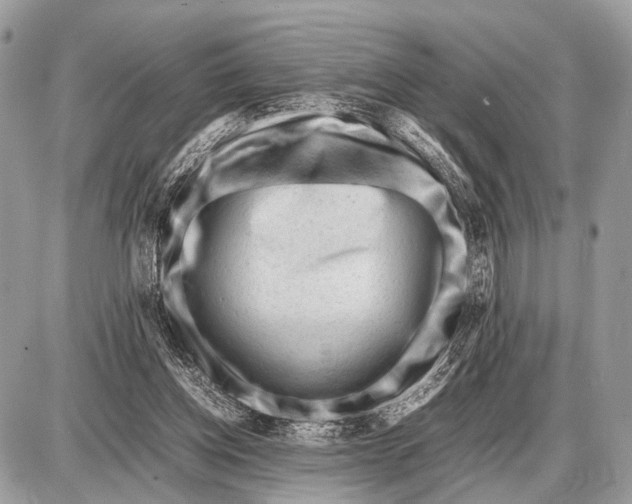 X0000087400158200705111834