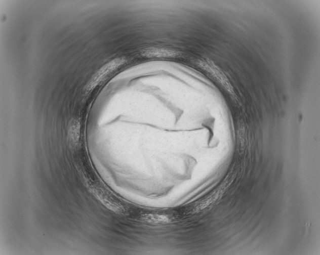 X0000087400159200705111834