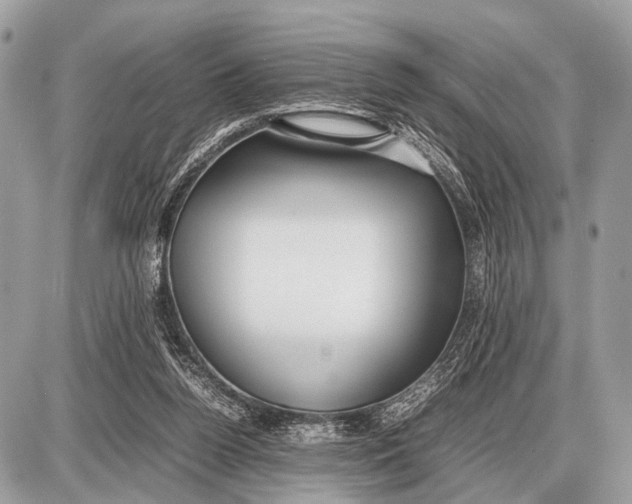 X0000087400160200705111834