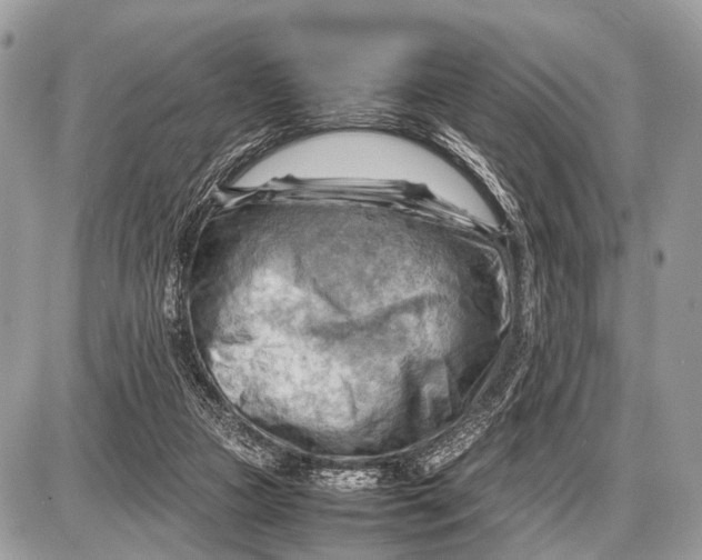 X0000087400161200705111834