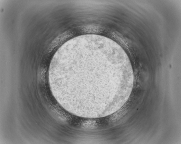 X0000087400162200705111834