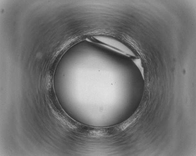 X0000087400164200705111834