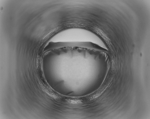 X0000087400165200705111834