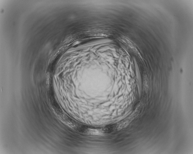 X0000087400167200705111834