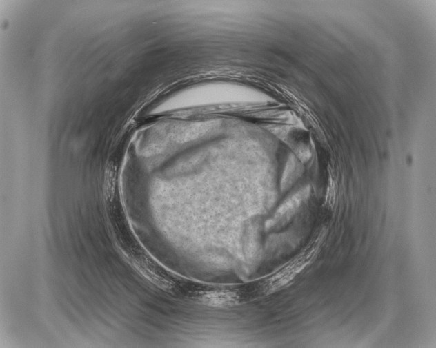 X0000087400168200705111834