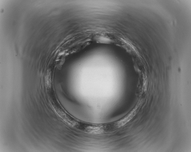 X0000087400170200705111835