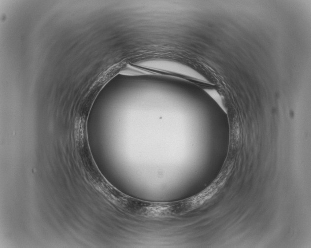 X0000087400172200705111835