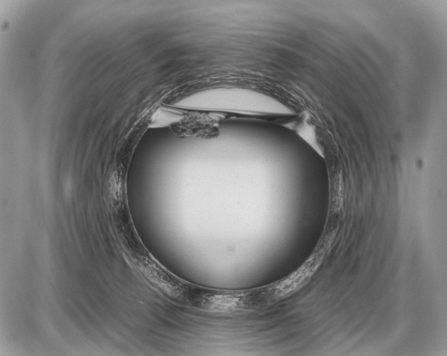 X0000087400176200705111835