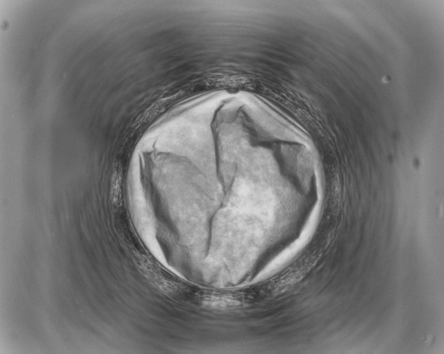 X0000087400177200705111835