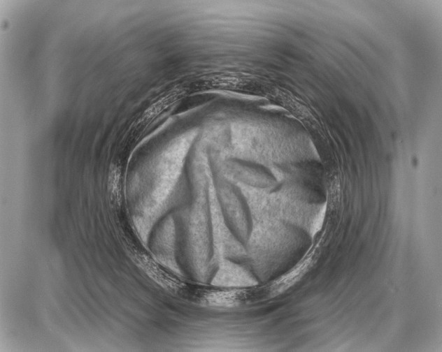 X0000087400178200705111835