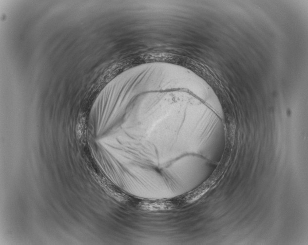 X0000087400181200705111835